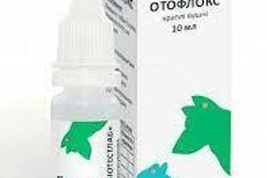 Отофлокс: лечит отиты разных этиологий