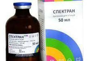 Спектран - быстрая помощь при любых патологиях