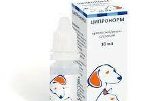 Ципронорм &ndash; норма здоровья глаз и ушей