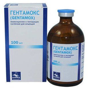 Гентамокс 100 мл. 0642 фото